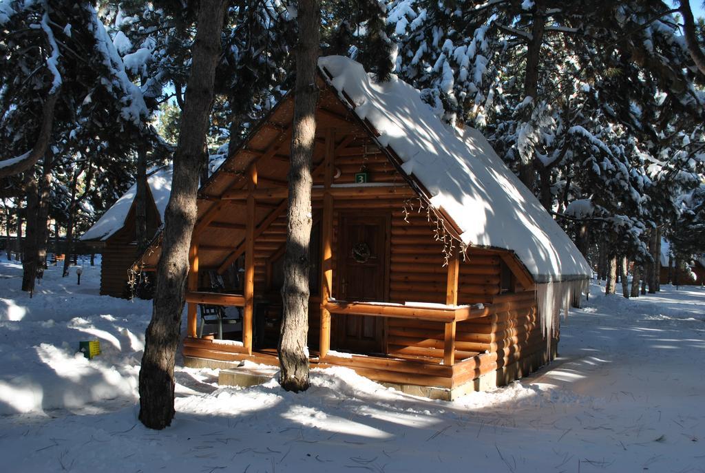 Kompleks Otdykha Elki-Palki Burlach'ya Balka Exterior foto