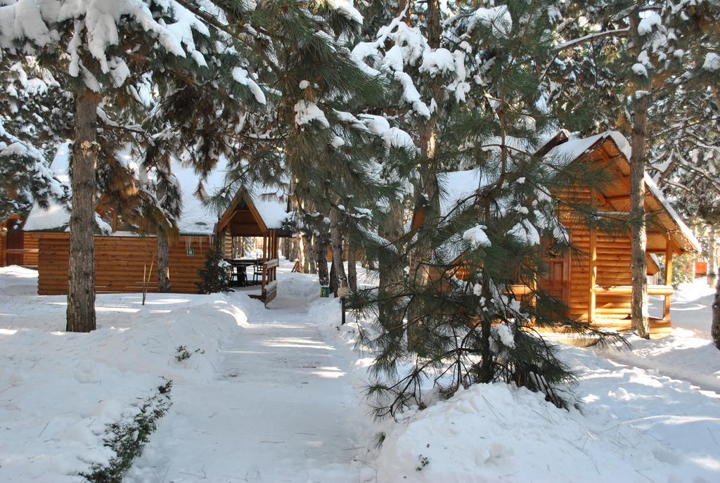 Kompleks Otdykha Elki-Palki Burlach'ya Balka Exterior foto