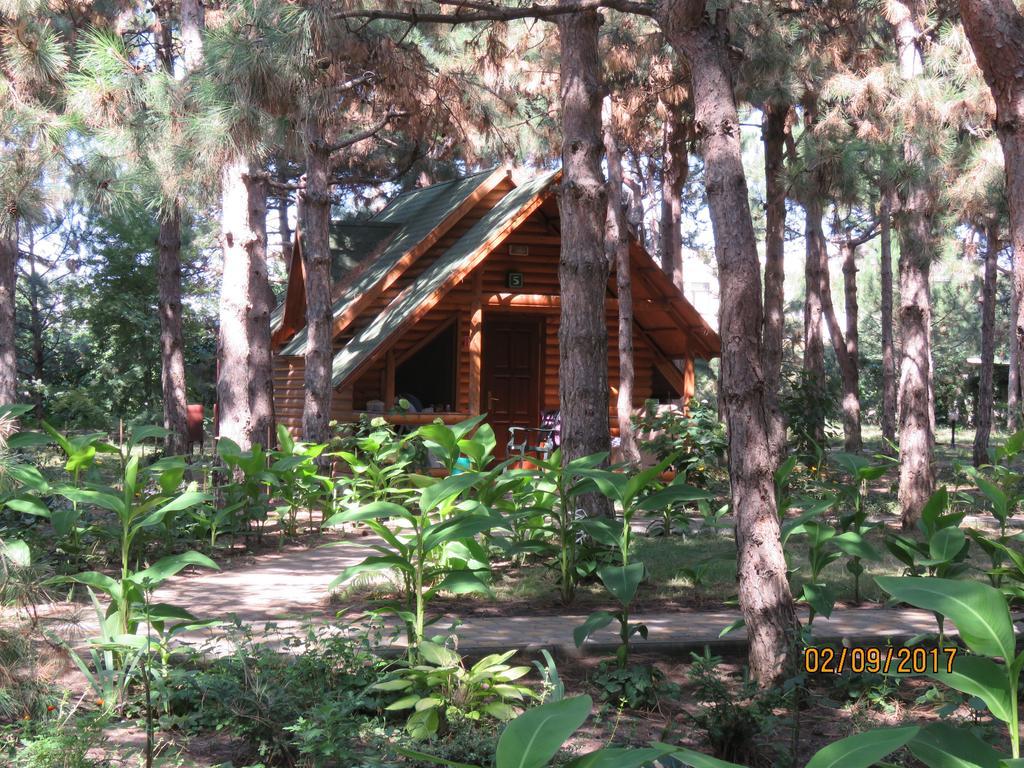 Kompleks Otdykha Elki-Palki Burlach'ya Balka Exterior foto